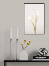 White Calla Lily No 1 Poster och Canvastavla
