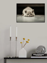 Phillip Poster och Canvastavla