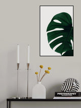 Monstera Natural 30 Poster och Canvastavla