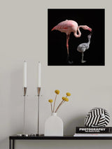 Become pink Poster och Canvastavla