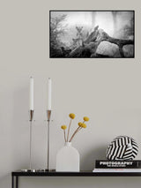 Pride of Africa Poster och Canvastavla