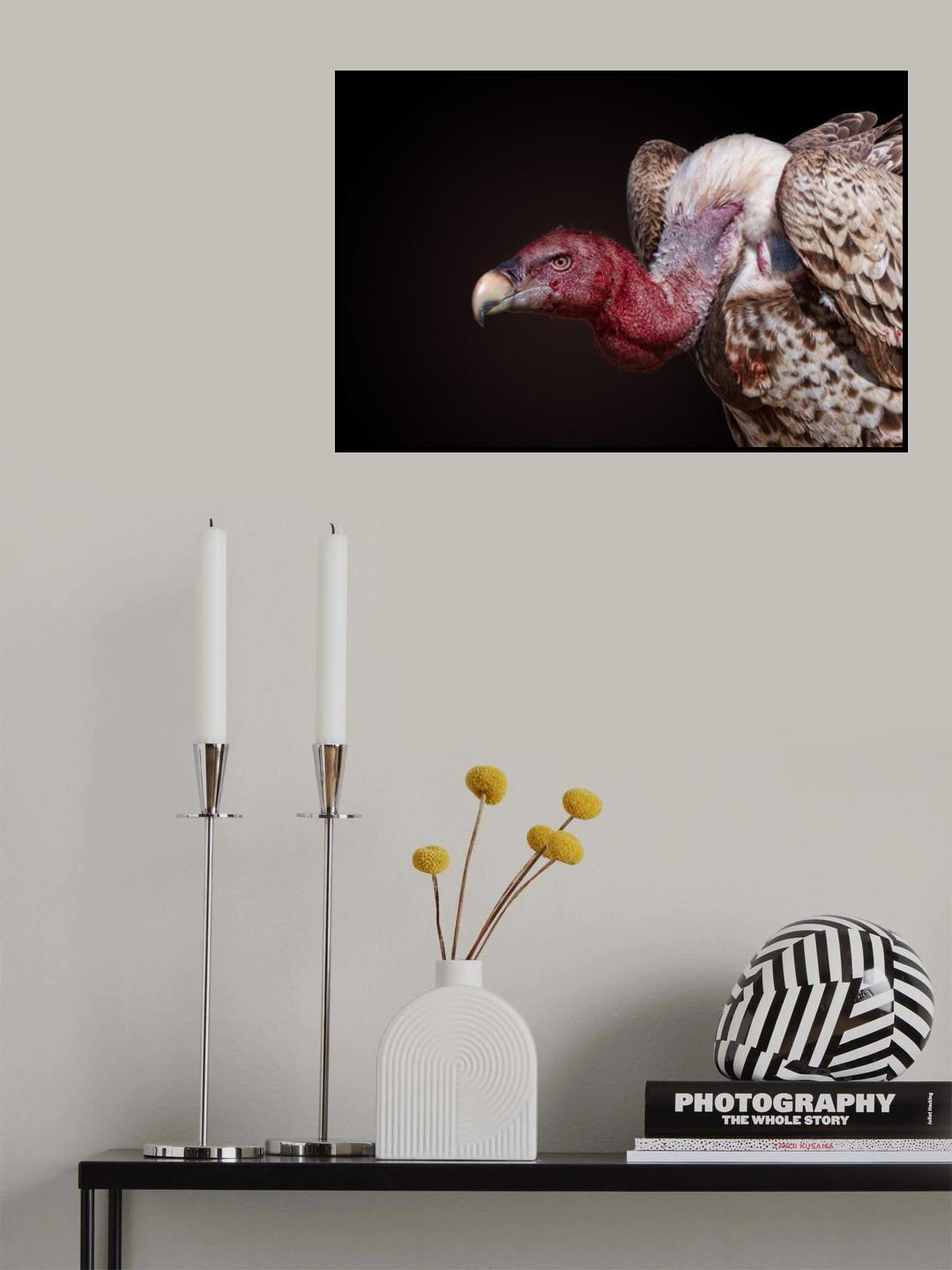 Bloody Volture Poster och Canvastavla