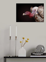 Bloody Volture Poster och Canvastavla