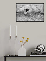 Shadow Poster och Canvastavla
