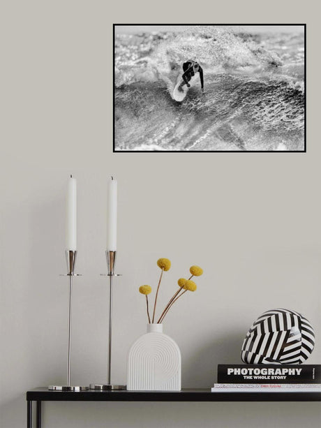 Shadow Poster och Canvastavla