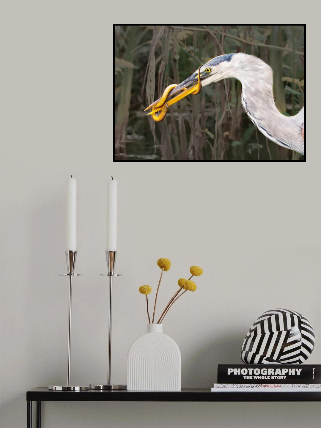 Life and Death Poster och Canvastavla