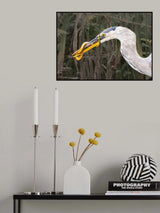 Life and Death Poster och Canvastavla
