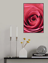 Red Rose Poster och Canvastavla