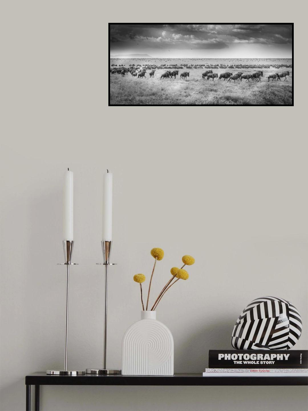 And the migration begins again Poster och Canvastavla