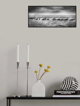 And the migration begins again Poster och Canvastavla