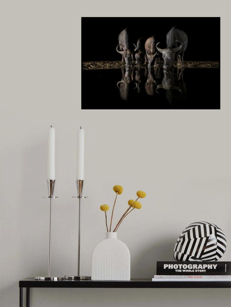 The Night Herd Poster och Canvastavla