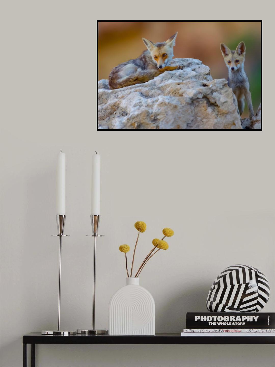 Fox family Poster och Canvastavla