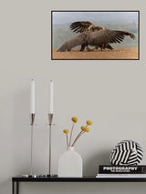 Dancing Poster och Canvastavla