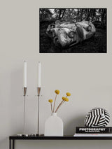 Dead Machines Poster och Canvastavla