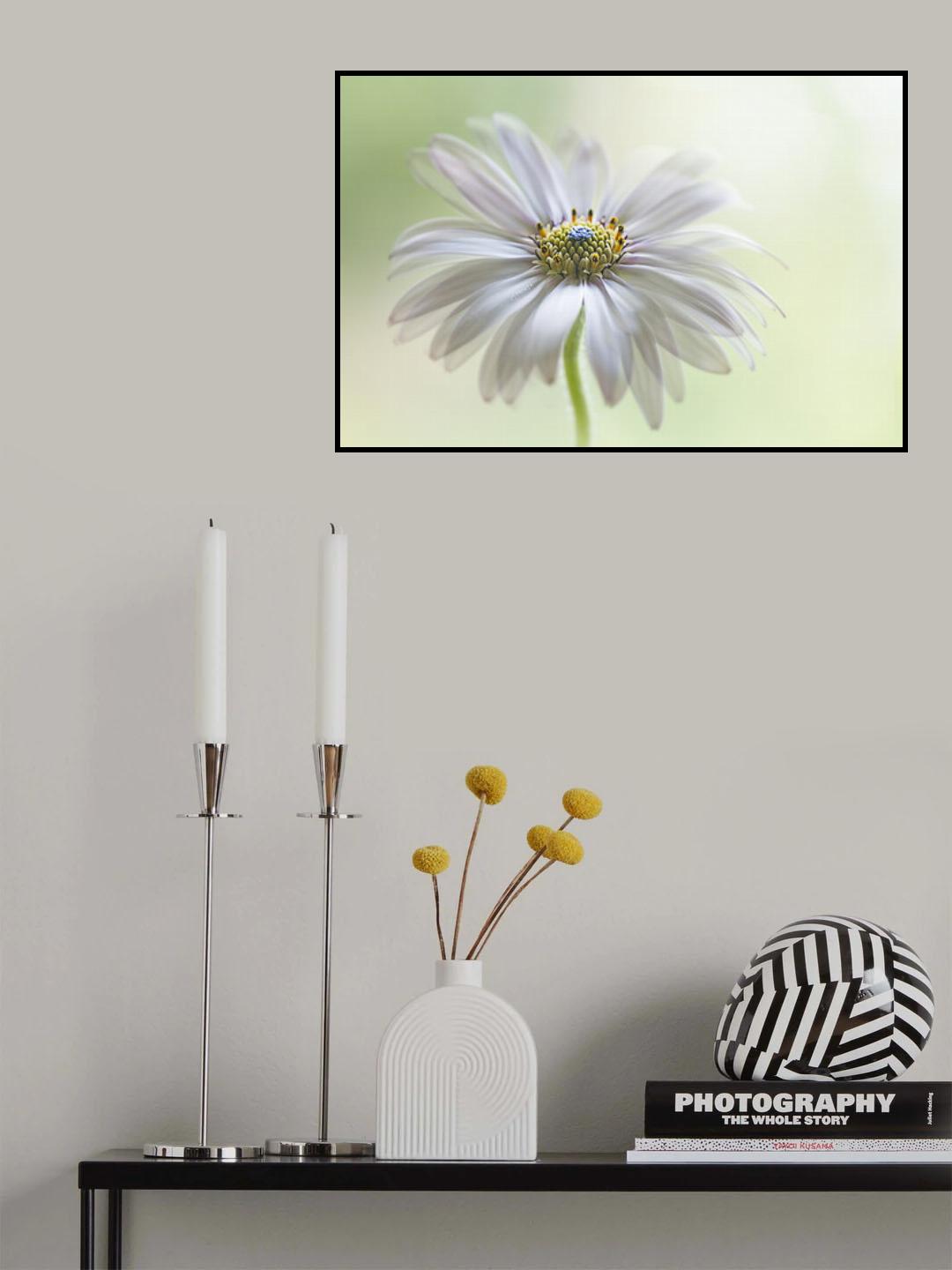 Fresh Poster och Canvastavla