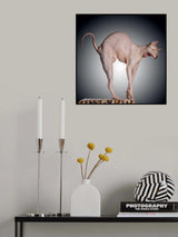 Sphinx Poster och Canvastavla