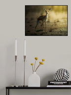 Persian Gazelle! Poster och Canvastavla