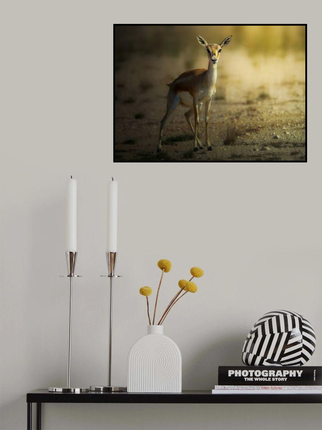 Persian Gazelle! Poster och Canvastavla