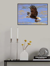 Diving for the Prey Poster och Canvastavla