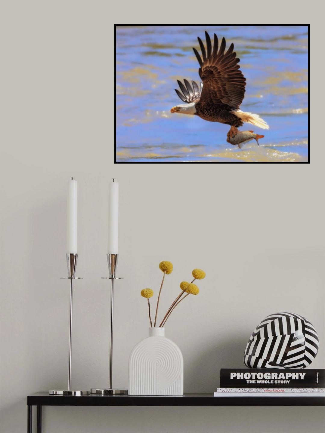 Diving for the Prey Poster och Canvastavla