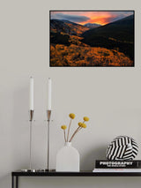 Color of Valley Poster och Canvastavla