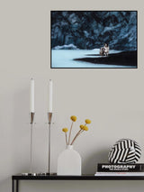 Dogs of Iceland Poster och Canvastavla