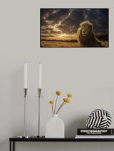 Adventures on Savannah - The Lion King Poster och Canvastavla