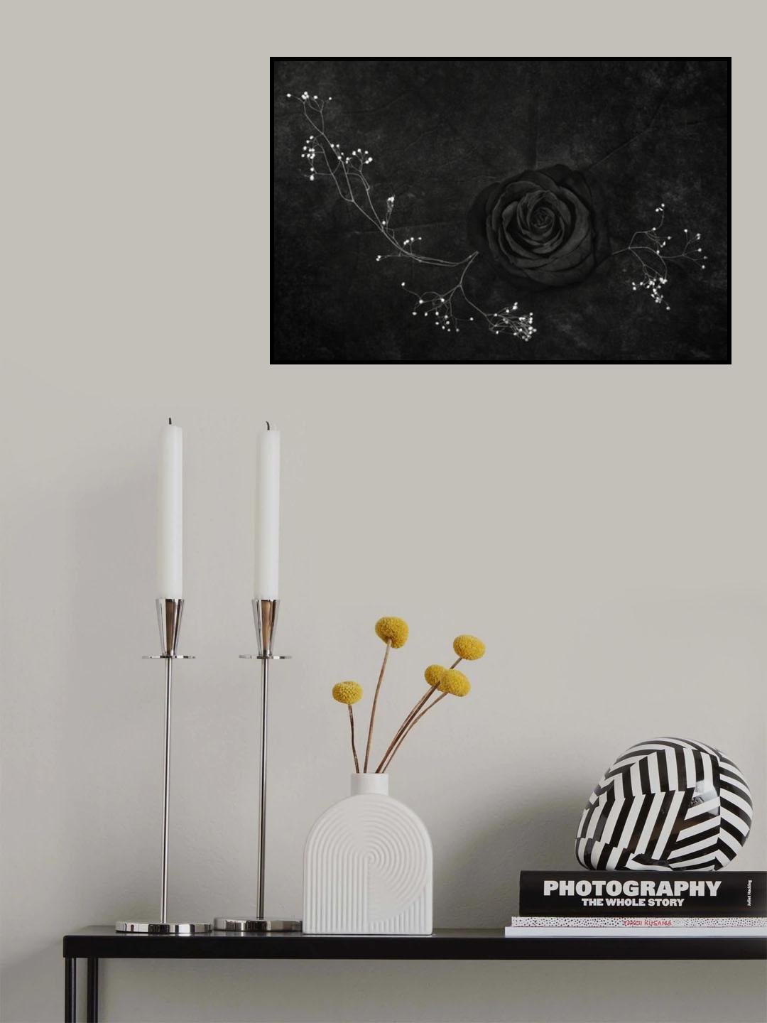 Rose noire Poster och Canvastavla
