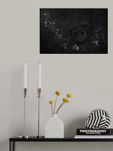 Rose noire Poster och Canvastavla