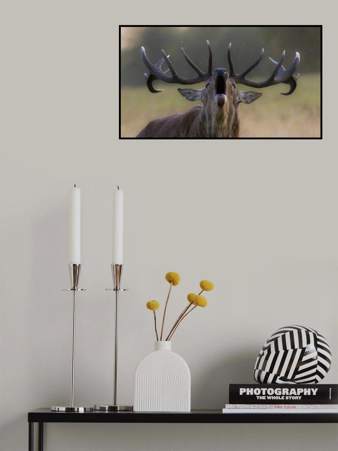 Roar Poster och Canvastavla