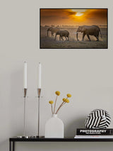 Amber sunrise Poster och Canvastavla