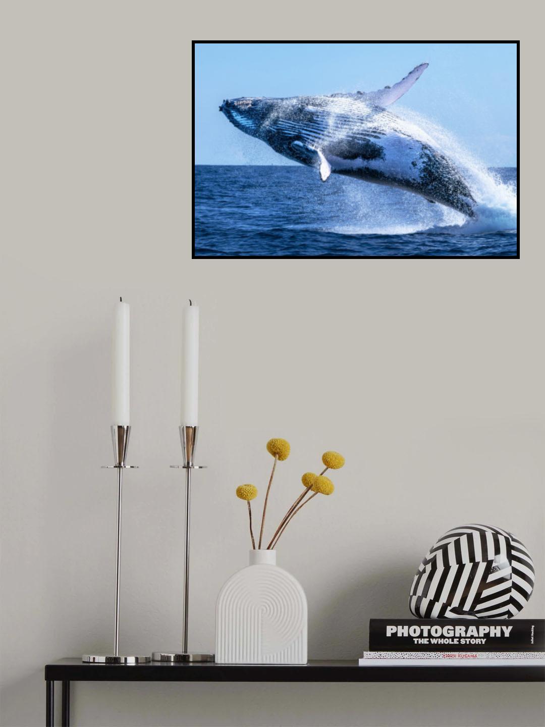 The escort Poster och Canvastavla