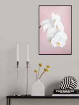 Orchid_2 Poster och Canvastavla