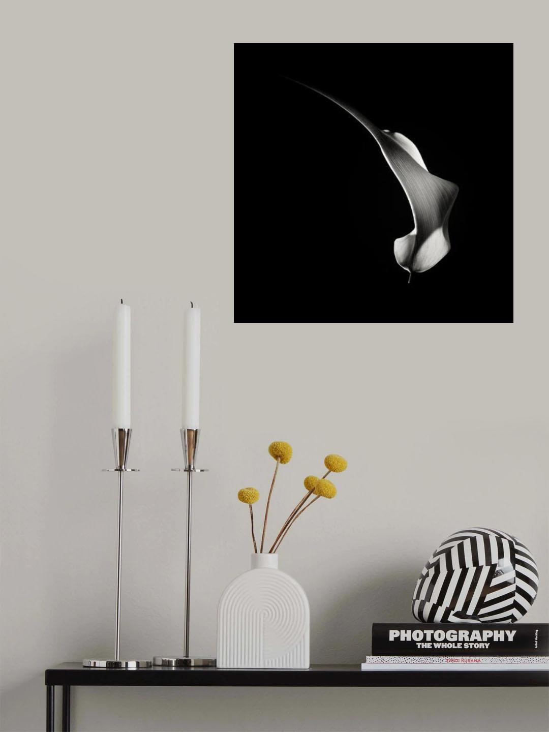 Hummingbird Abstraction (Calla Lily #3) Poster och Canvastavla