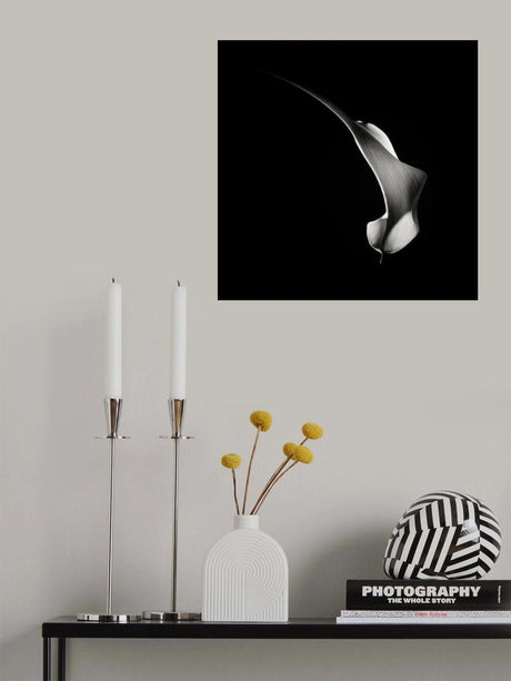 Hummingbird Abstraction (Calla Lily #3) Poster och Canvastavla