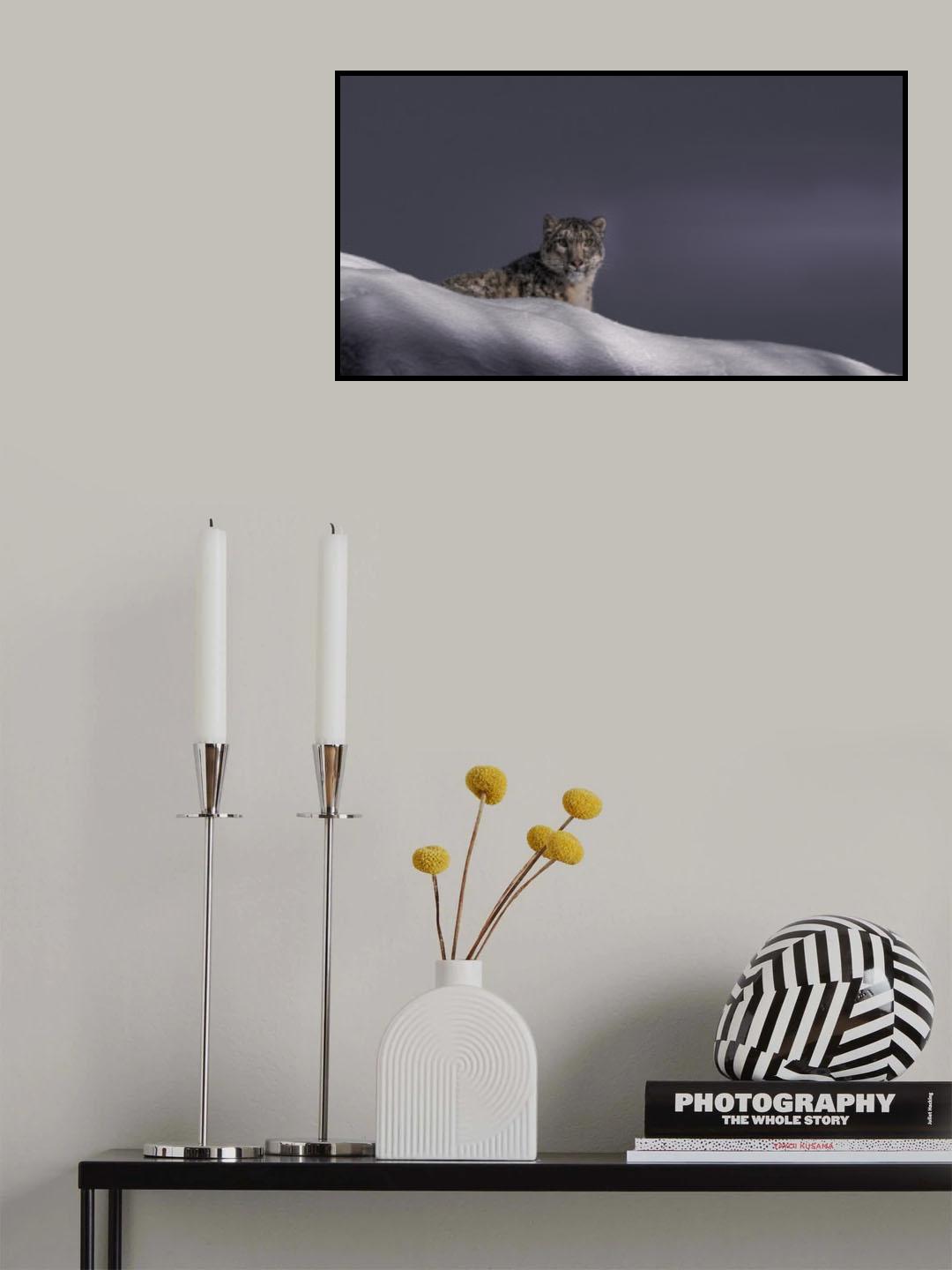 The Elusive One Poster och Canvastavla