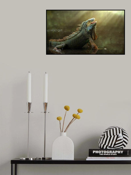 Morning light Poster och Canvastavla