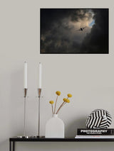 toward the light Poster och Canvastavla