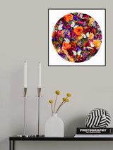 Destiny Blooms Poster och Canvastavla
