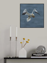 This is what she needs Poster och Canvastavla