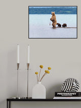 Looking for fish Poster och Canvastavla