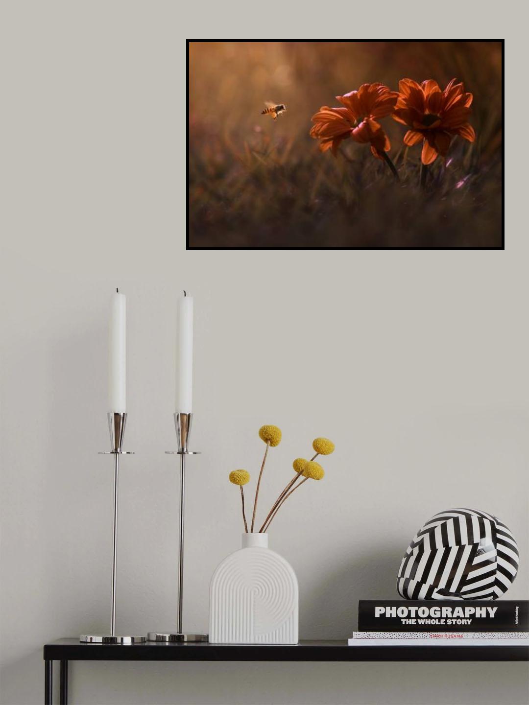Summer Day Poster och Canvastavla