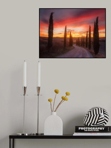 Tuscany sunset Poster och Canvastavla