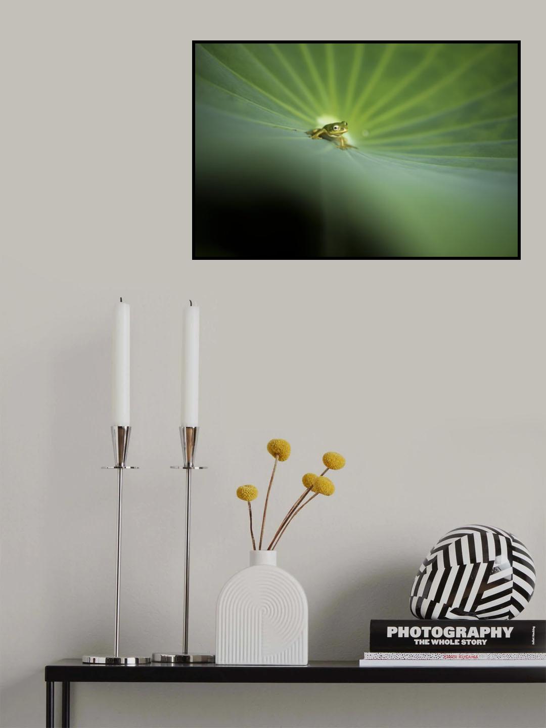 To look for Poster och Canvastavla