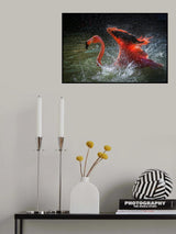 Fire On Water Poster och Canvastavla