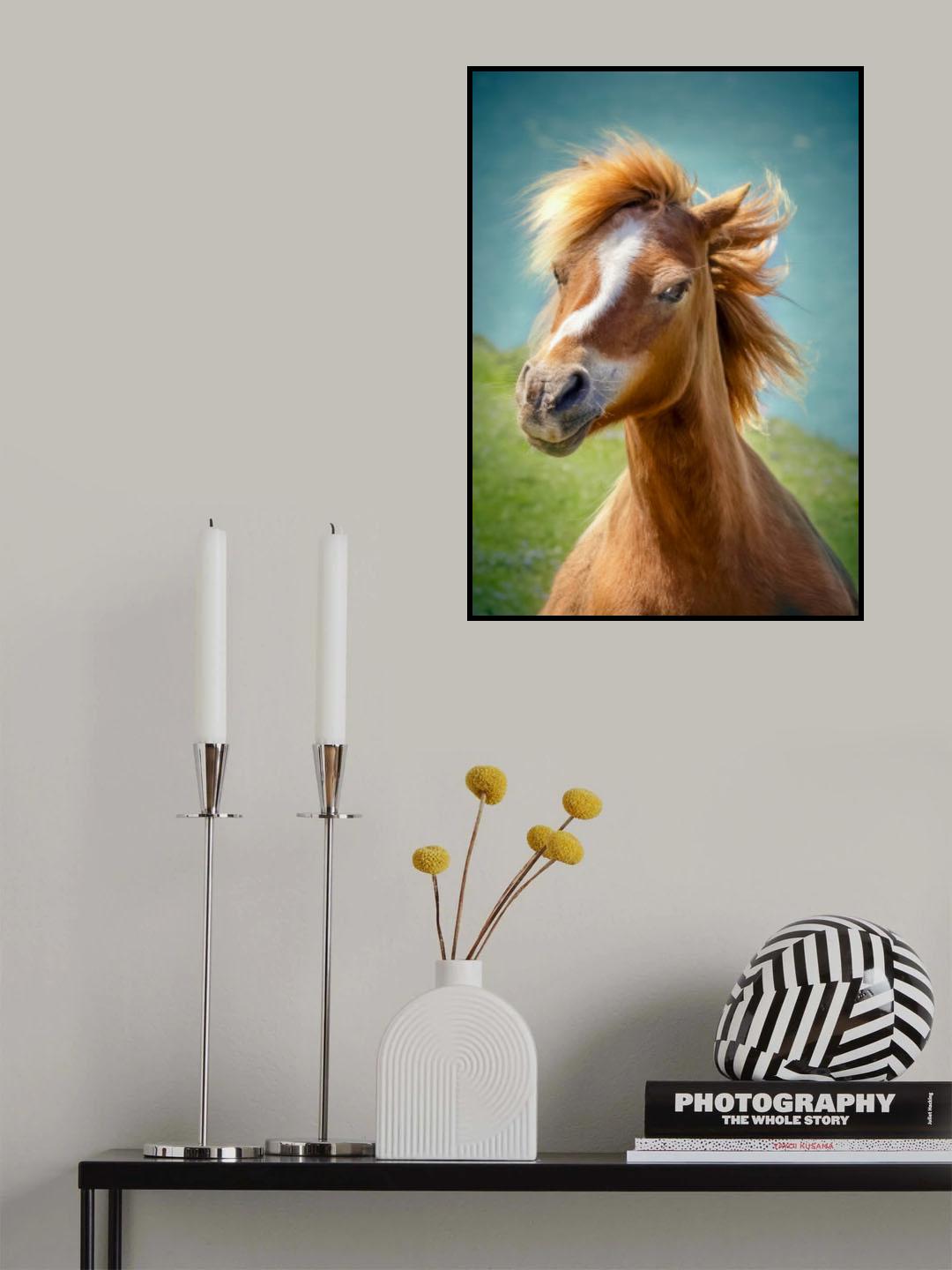Happy horse Poster och Canvastavla