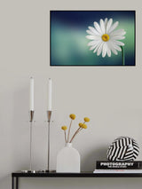 Flower Poster och Canvastavla