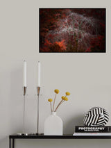魅惑 Poster och Canvastavla