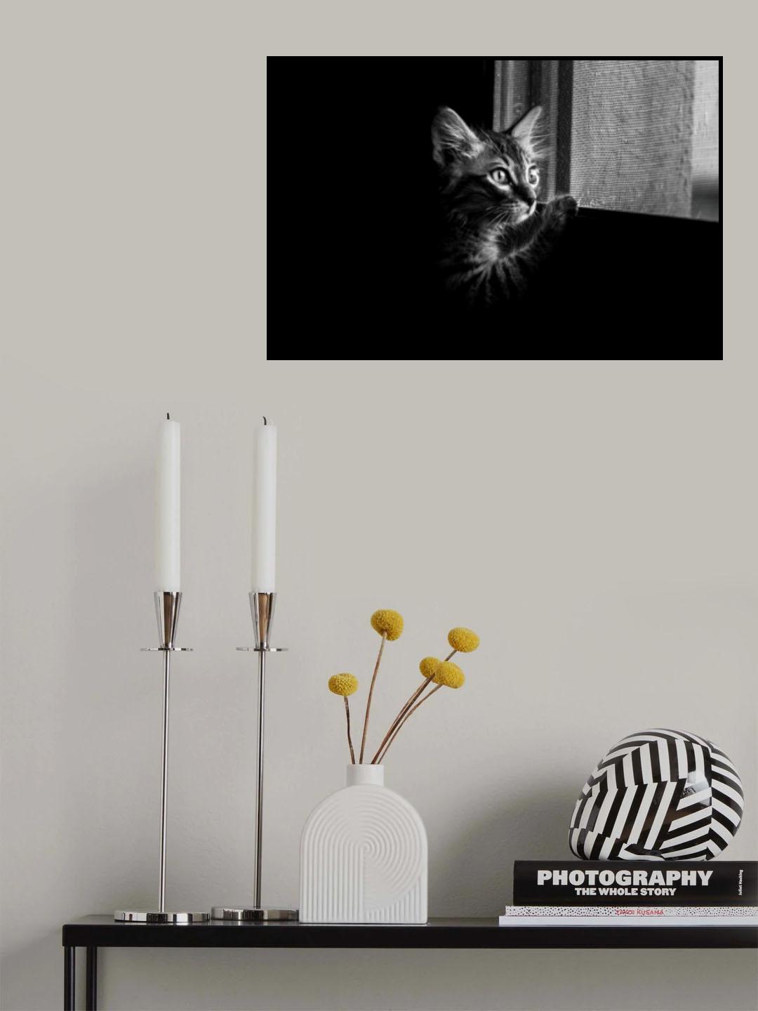 Leo Poster och Canvastavla