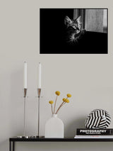 Leo Poster och Canvastavla
